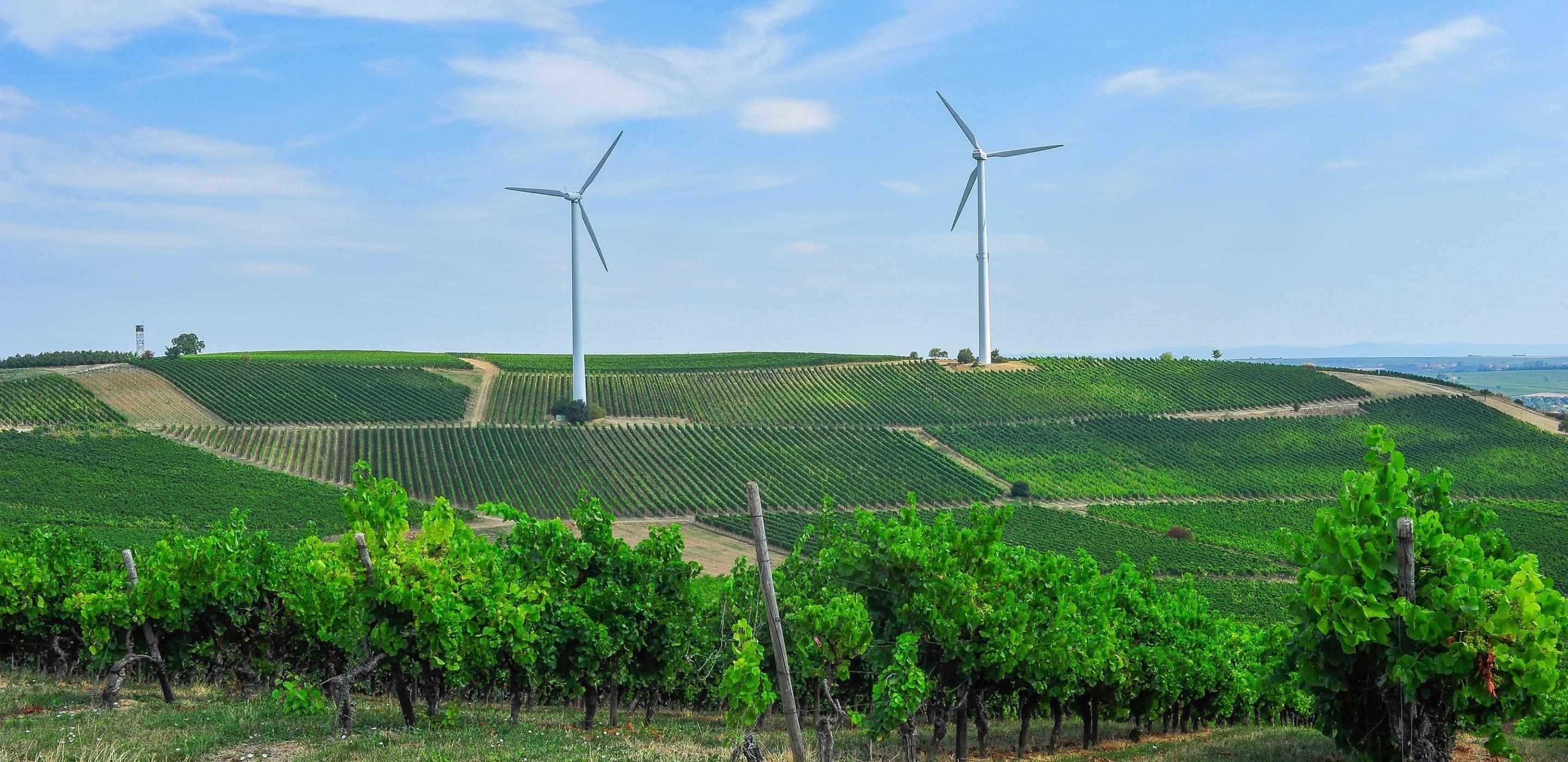 Sustainable Land
