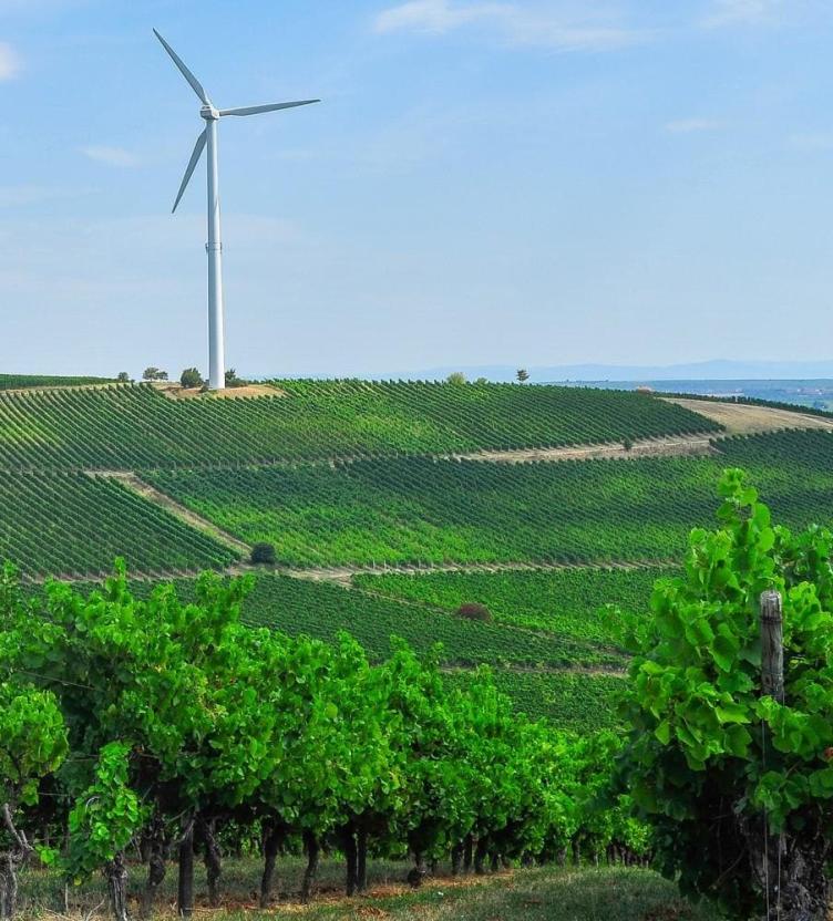 Windmill in Large Field