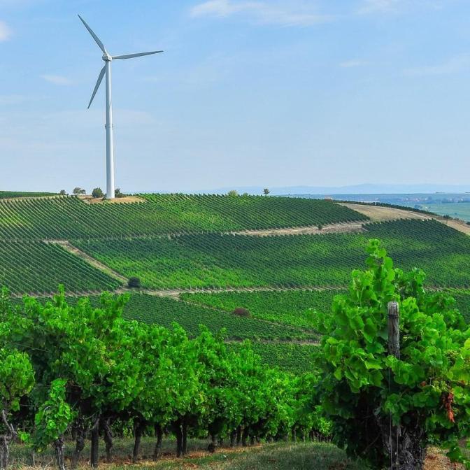 Windmill in Large Field