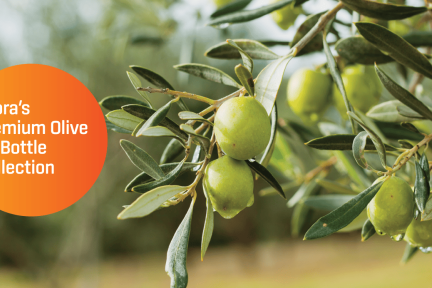 Orora Premium Olive Oil Bottle Collection